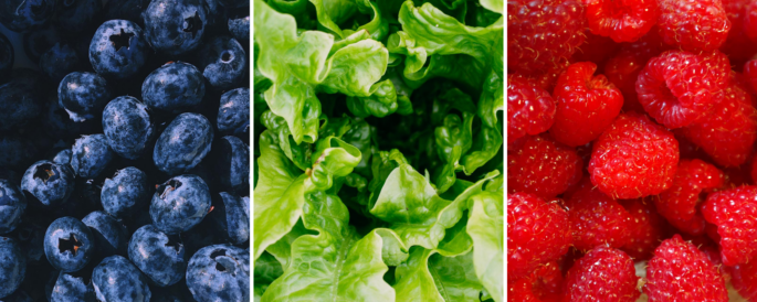 Fruits & Veggies Month - blueberries, lettuce, strawberries